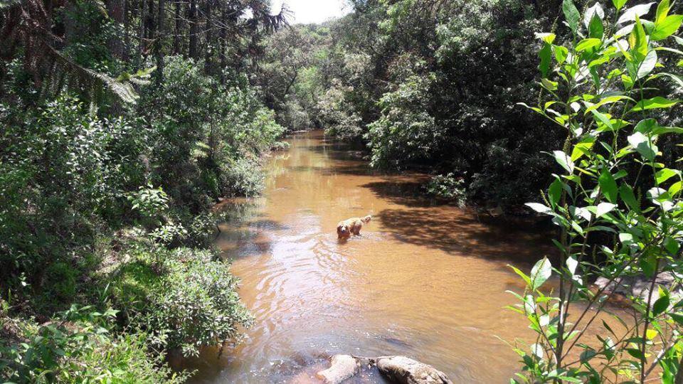 Pousada Chalés da Lua Munhoz Exterior foto